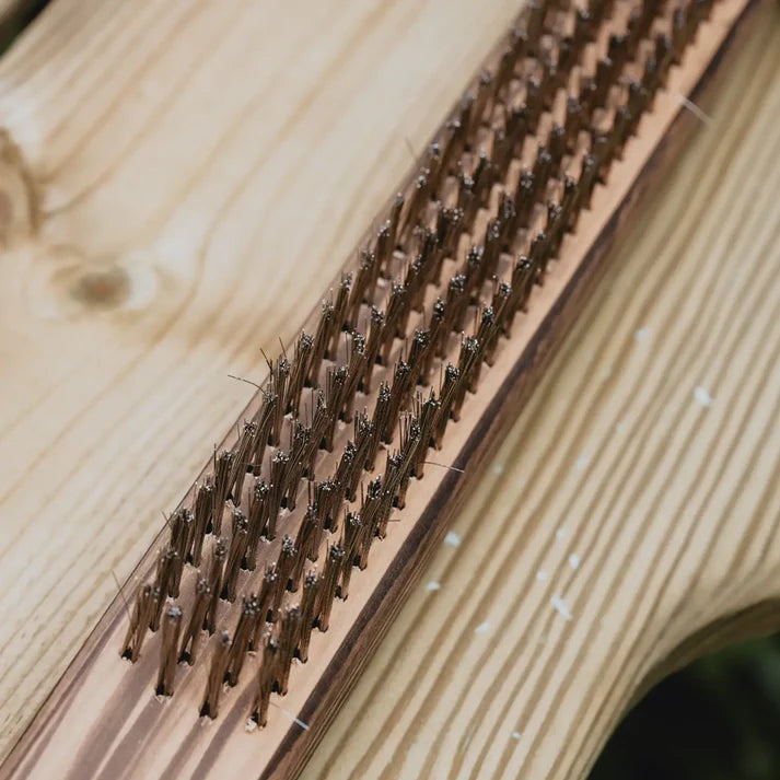 מברשת ניקוי לאבן